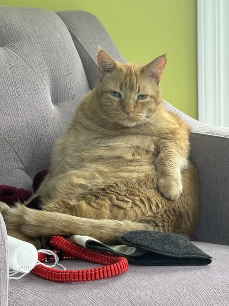 Entry image for Sunshine. Clicking this image will show a larger photo