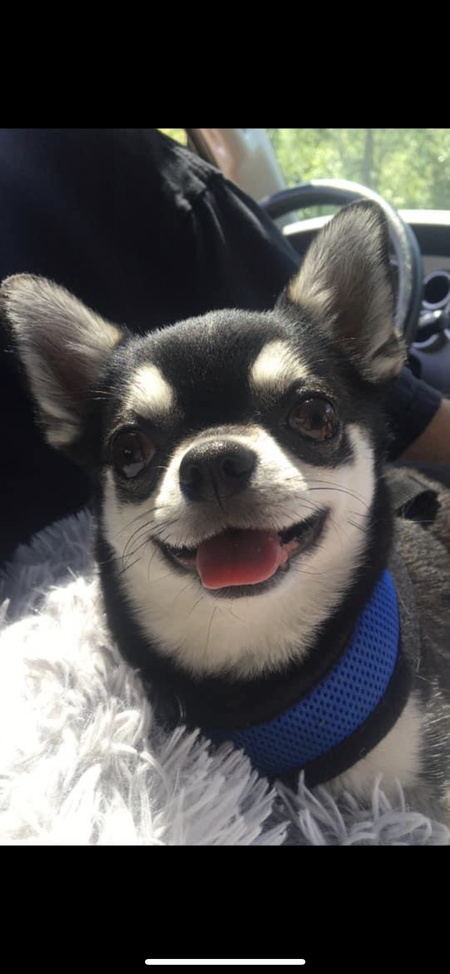 Mateo