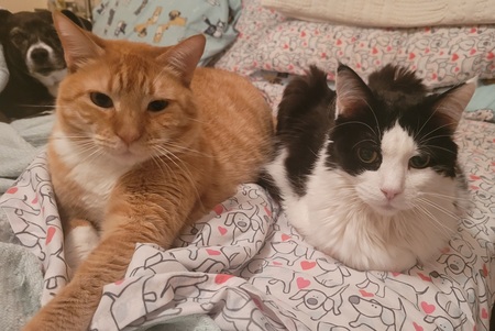 Rico and Axel