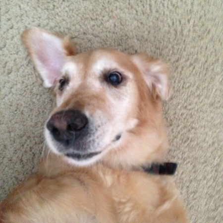Bailey 