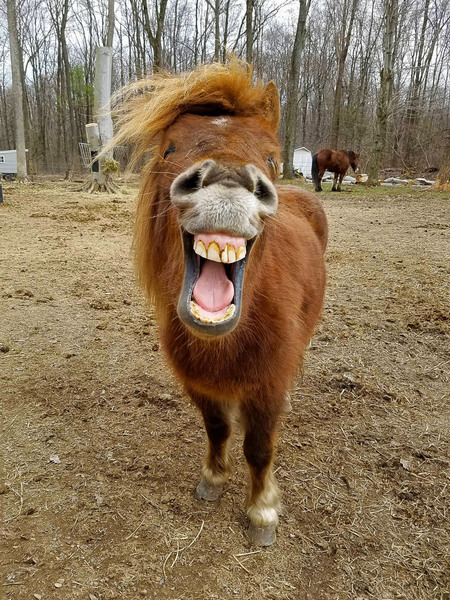 Duncan