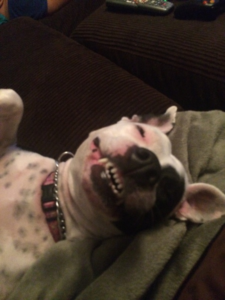 Wilma