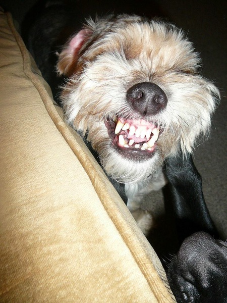 Cooper
