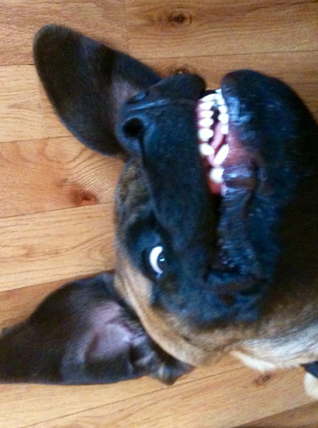 Diesel