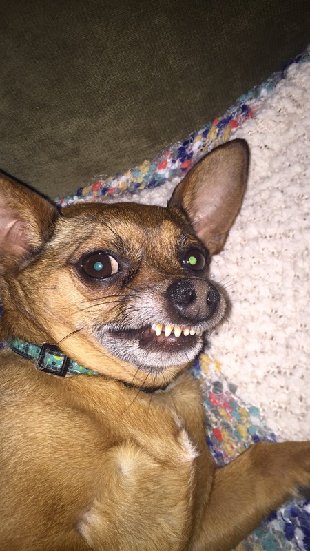 Entry image for Chipotle. Clicking this image will show a larger photo