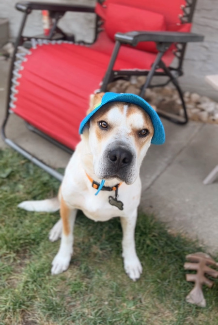 Walter