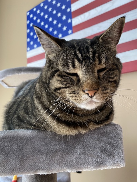 Carlos