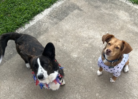 Karl Jo and Ruskin