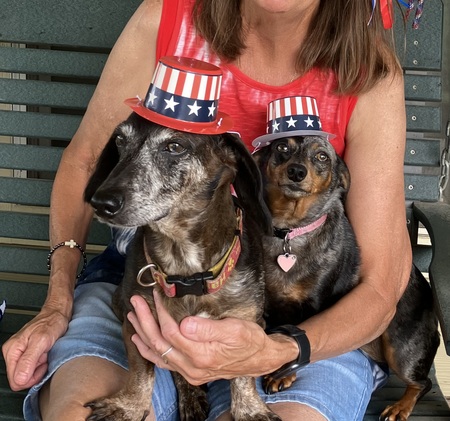 Hank and Sophie
