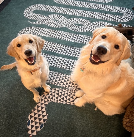 Theo & Tilly 