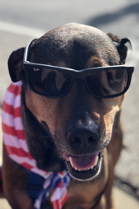 Gus