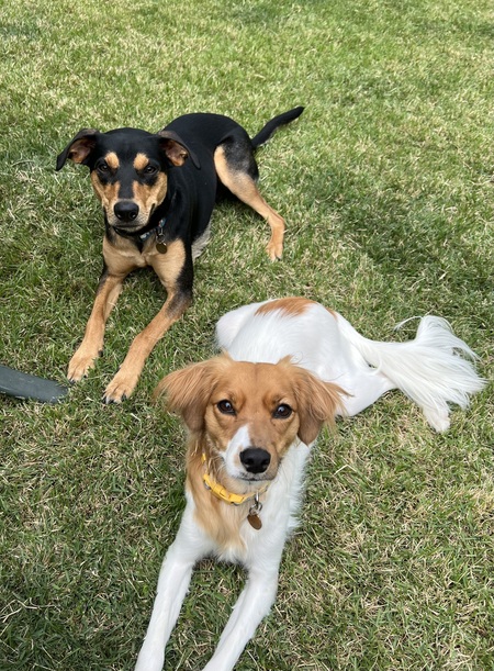 Eloise and Maisy