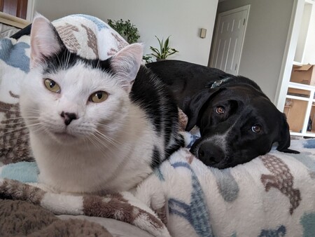 Tipper & Jade