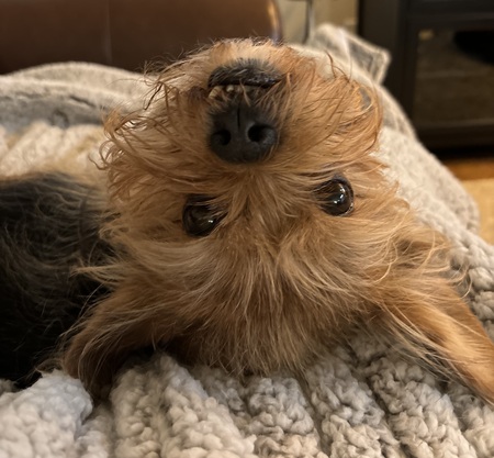 Winston