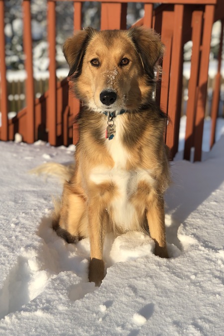 Bella