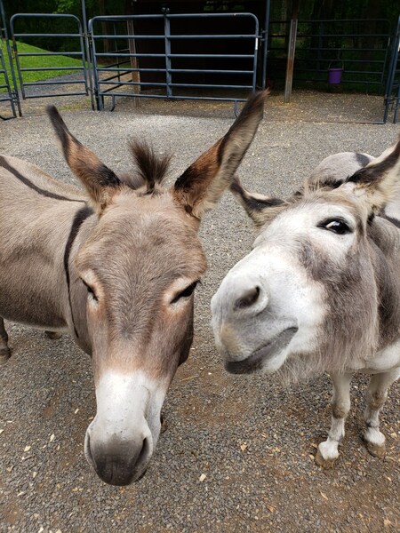 Lucy and Ethel