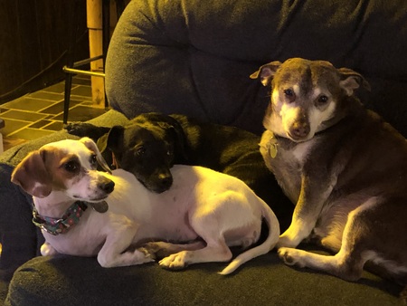 Wally, Sunny and Cheryl