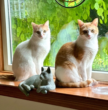 Parker & Paisley
