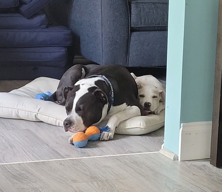 Jupiter & Tate