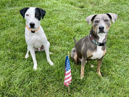 Bobbie and Petey (Doc)