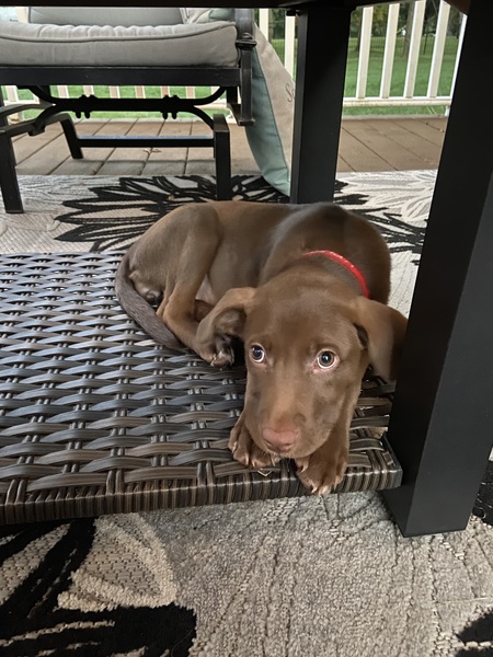Reagan (Alice when adopted)