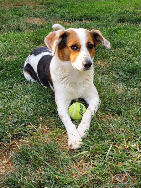 Sam