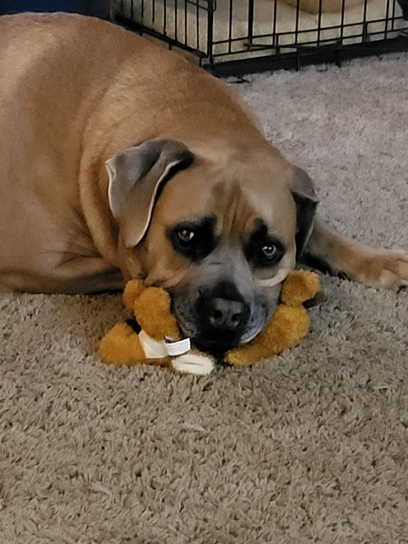 Tito