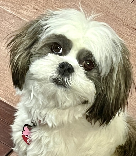 Yuki-chan