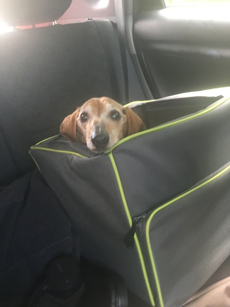 Gus