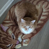 Entry image for Atlas