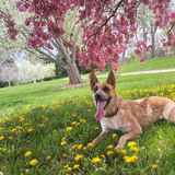 Entry image for Kuemper