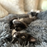 Entry image for Miles