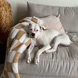 Entry image for Gracie 