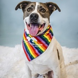 Entry image for Peter