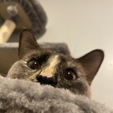 Entry image for Stormy