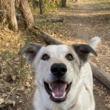 Entry image for Doug