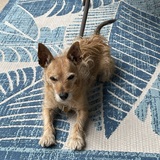 Entry image for Harmony