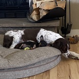 Entry image for Star & Bee