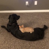 Entry image for Jazmine