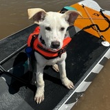 Entry image for Kenneth