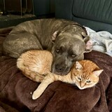 Entry image for Darla & Rita