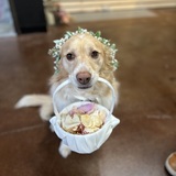 Entry image for Tilly