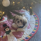 Entry image for Tinker