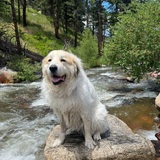 Entry image for Farley