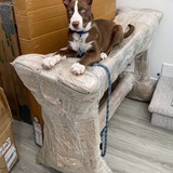 Entry image for Sabine Wren