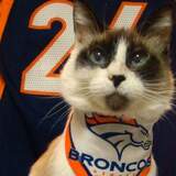 Entry image for Baby