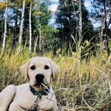 Entry image for Winnie