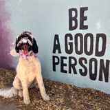 Entry image for Bingley Rose