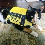 Entry image for Cleo