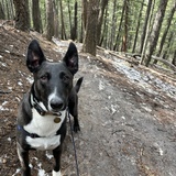 Entry image for Kaiju